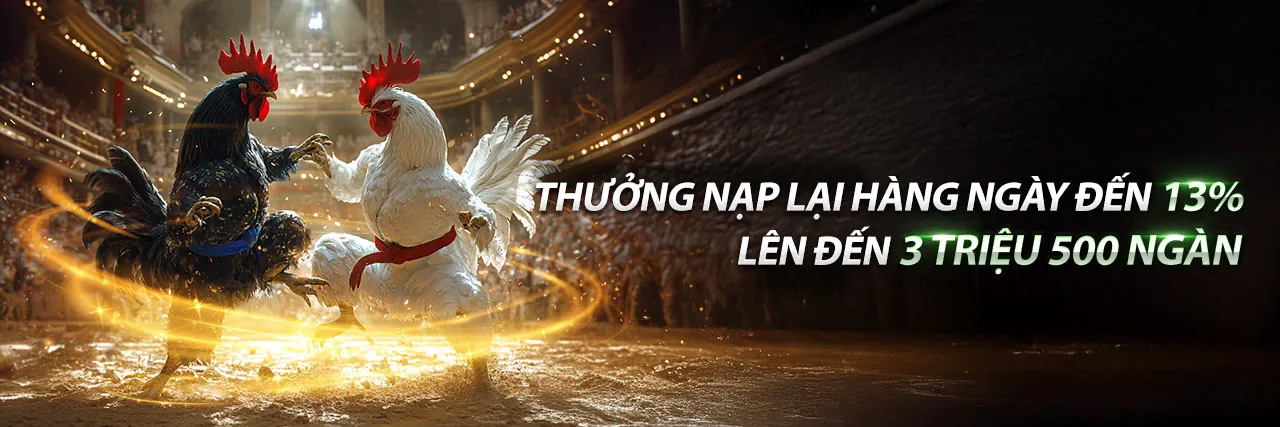 Đá Gà Go88 Link Mới 2026 - Sân đấu kịch tính