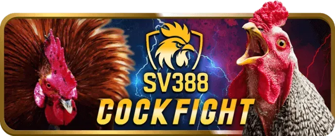 Giao diện trò chơi slot GO88 với người chơi chiến thắng